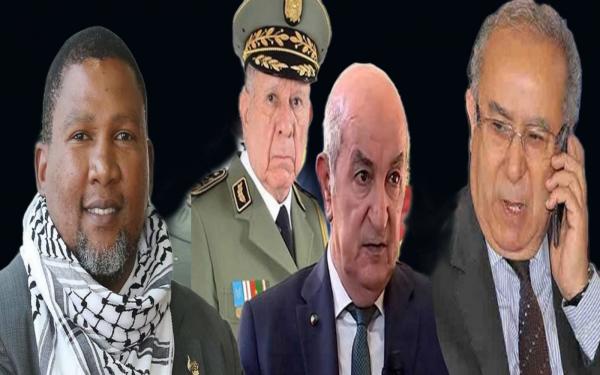 الغلوسي: نظام الكابرانات الفاقد للشرعية استقدم حفيد "مانديلا" واستغل دماء المليون شهيد لتلميع صورته